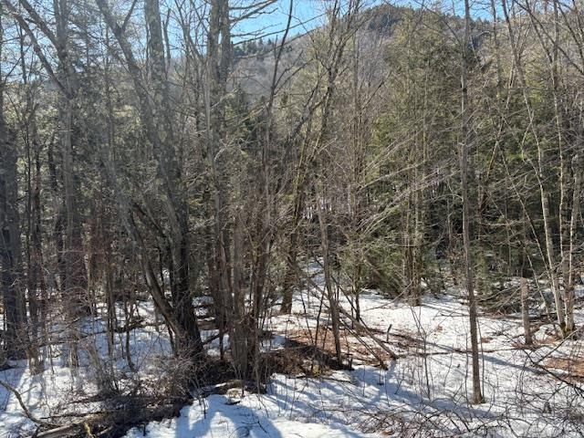 0 Route 107, Stockbridge
