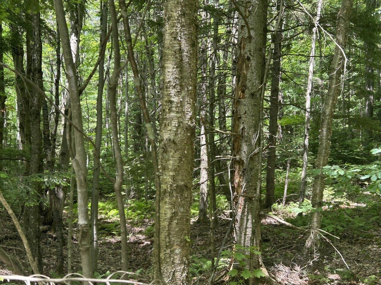 0 Rushford Valley Road