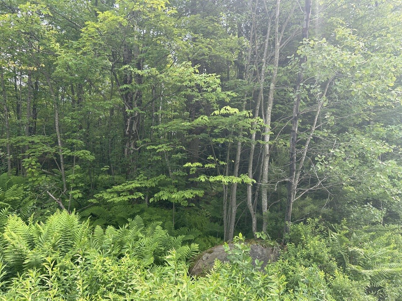 0 Rushford Valley Road