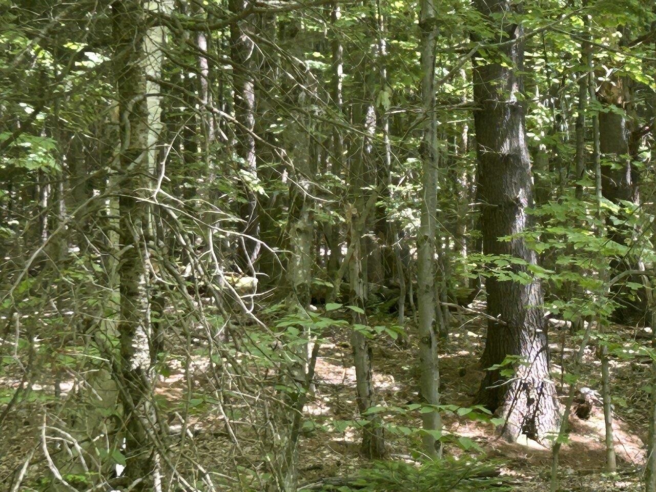Near Rushford Valley Access