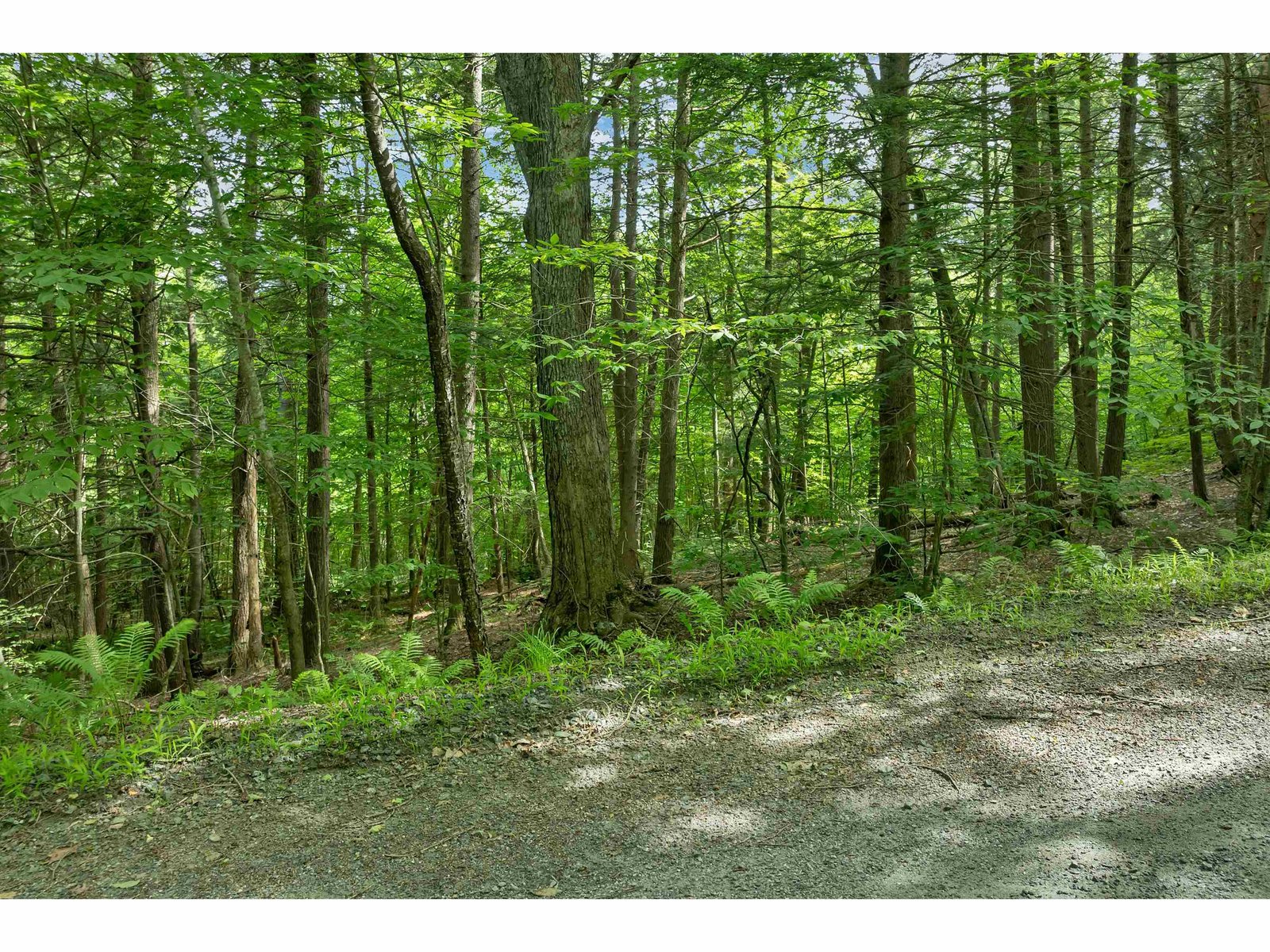 0 Safford Road, Hartford