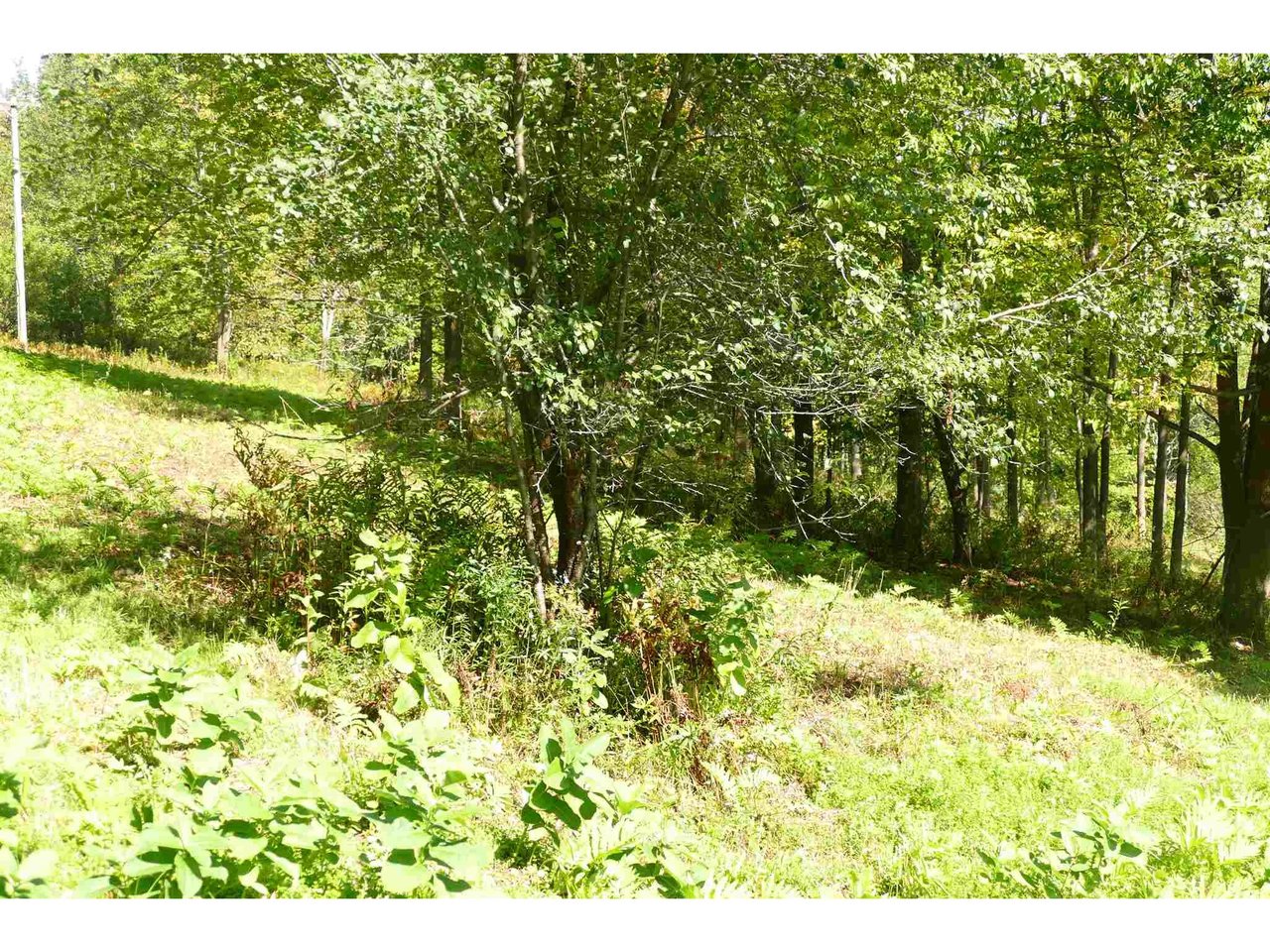 0 Sallies Lane
