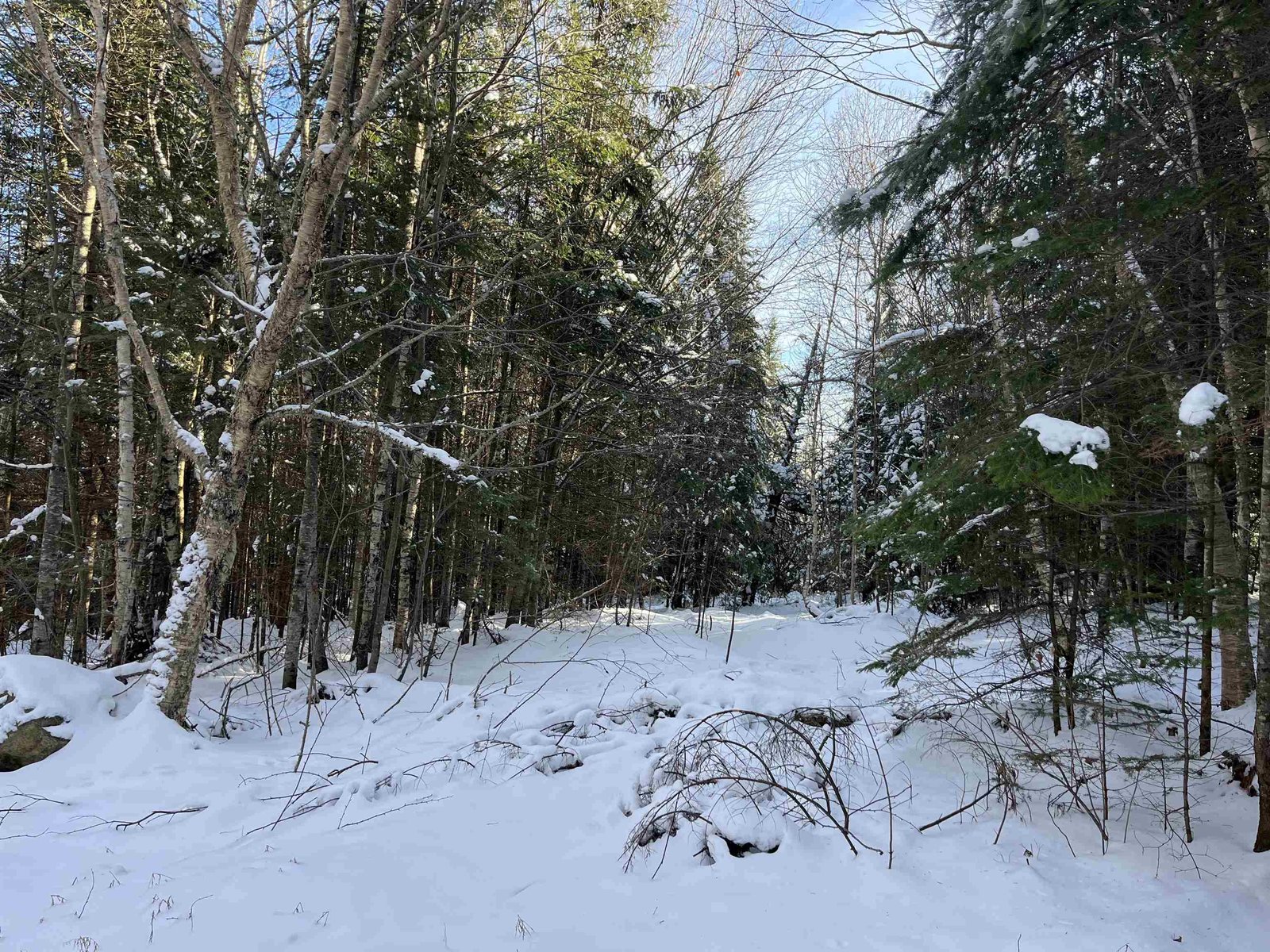 0 Shadow Lake Road