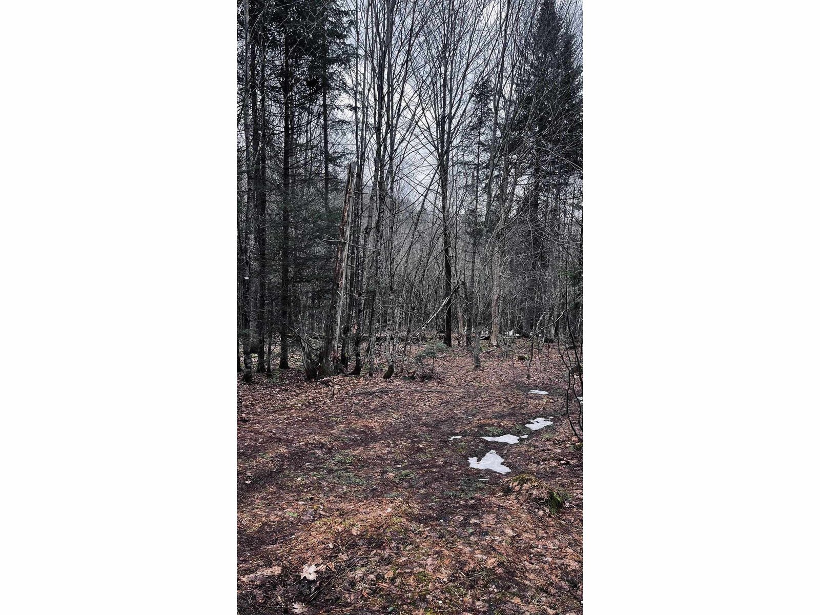 0 Shadow Lake Road