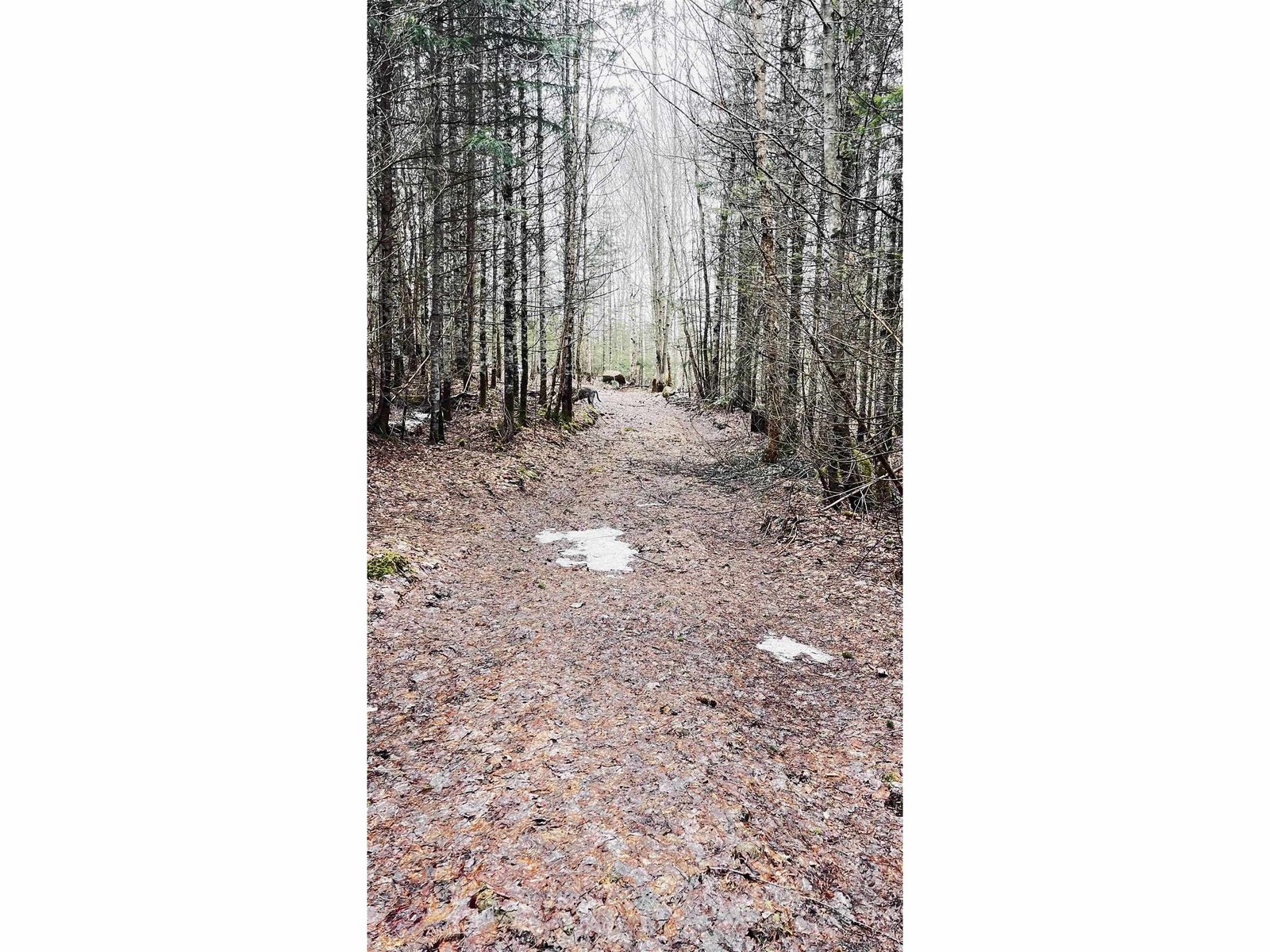 0 Shadow Lake Road