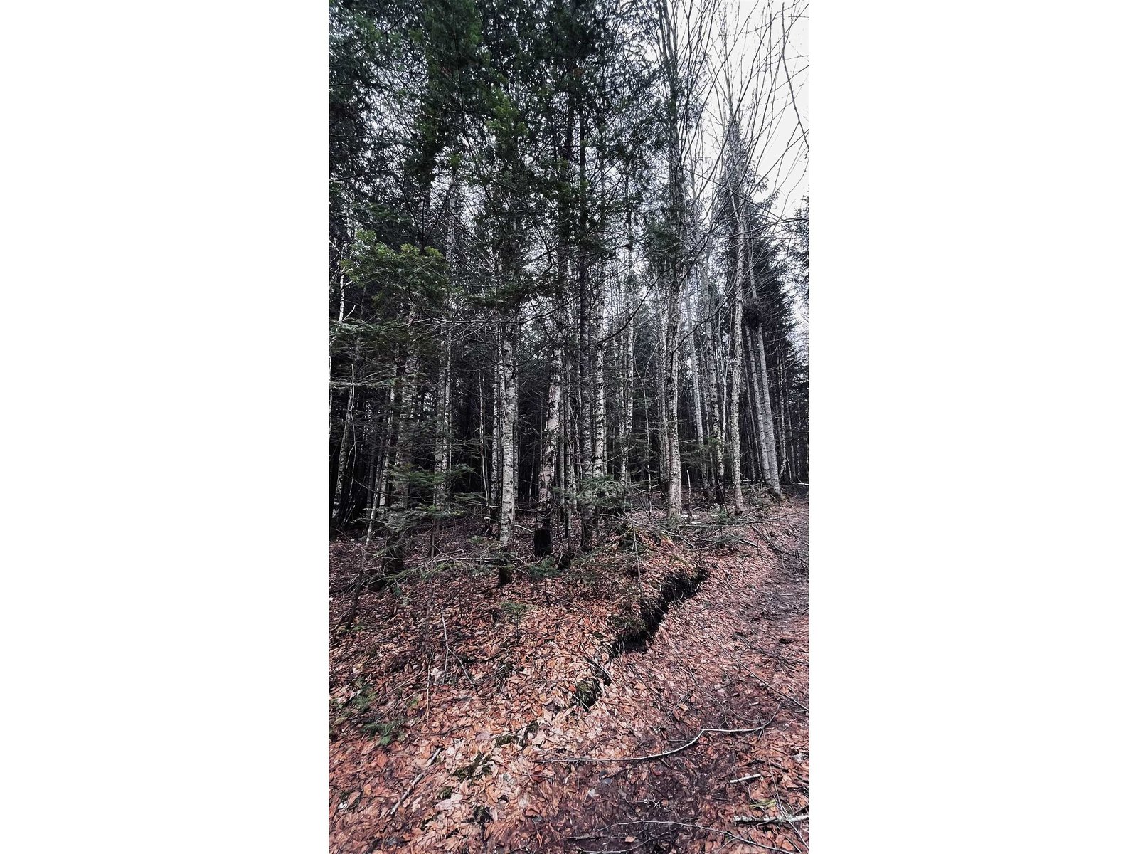 0 Shadow Lake Road