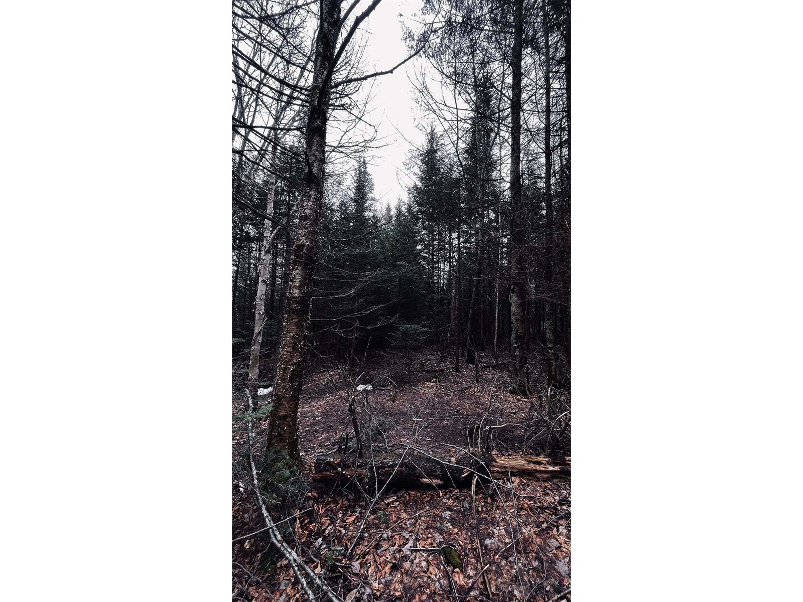 0 Shadow Lake Road