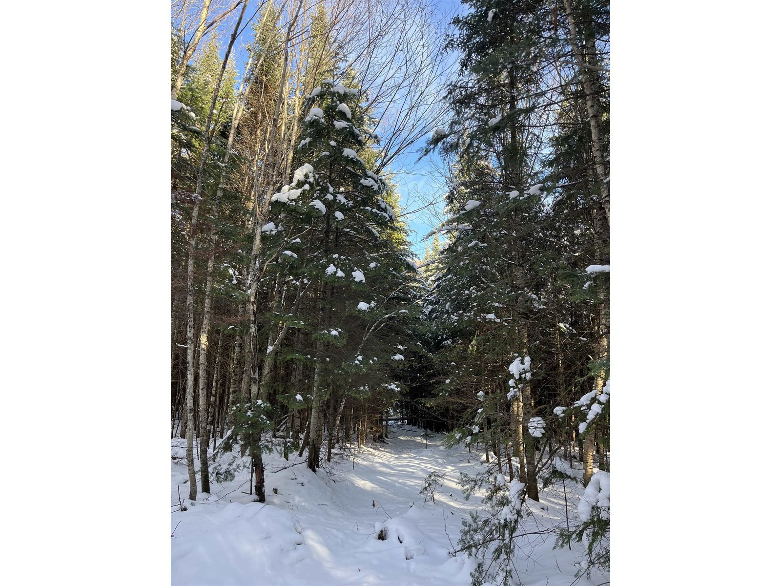 0 Shadow Lake Road