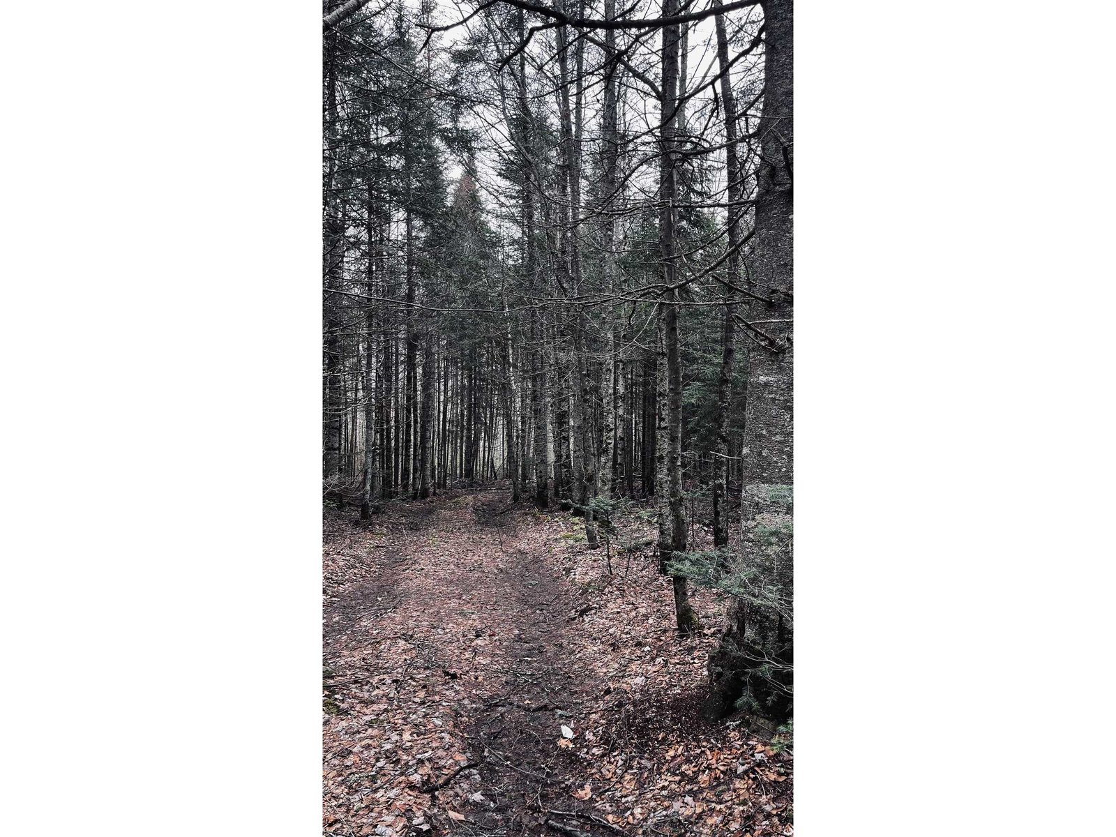 0 Shadow Lake Road