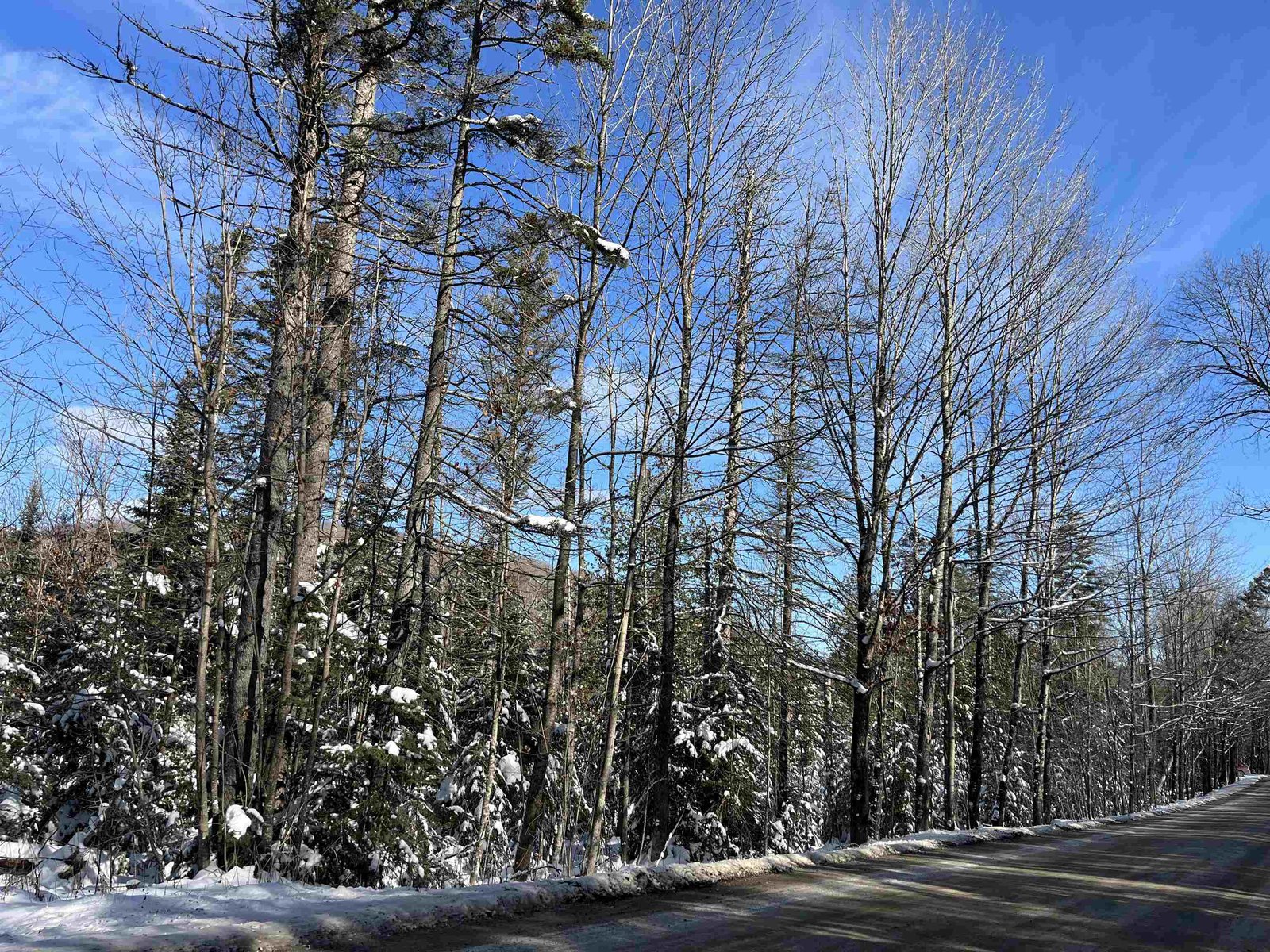 0 Shadow Lake Road