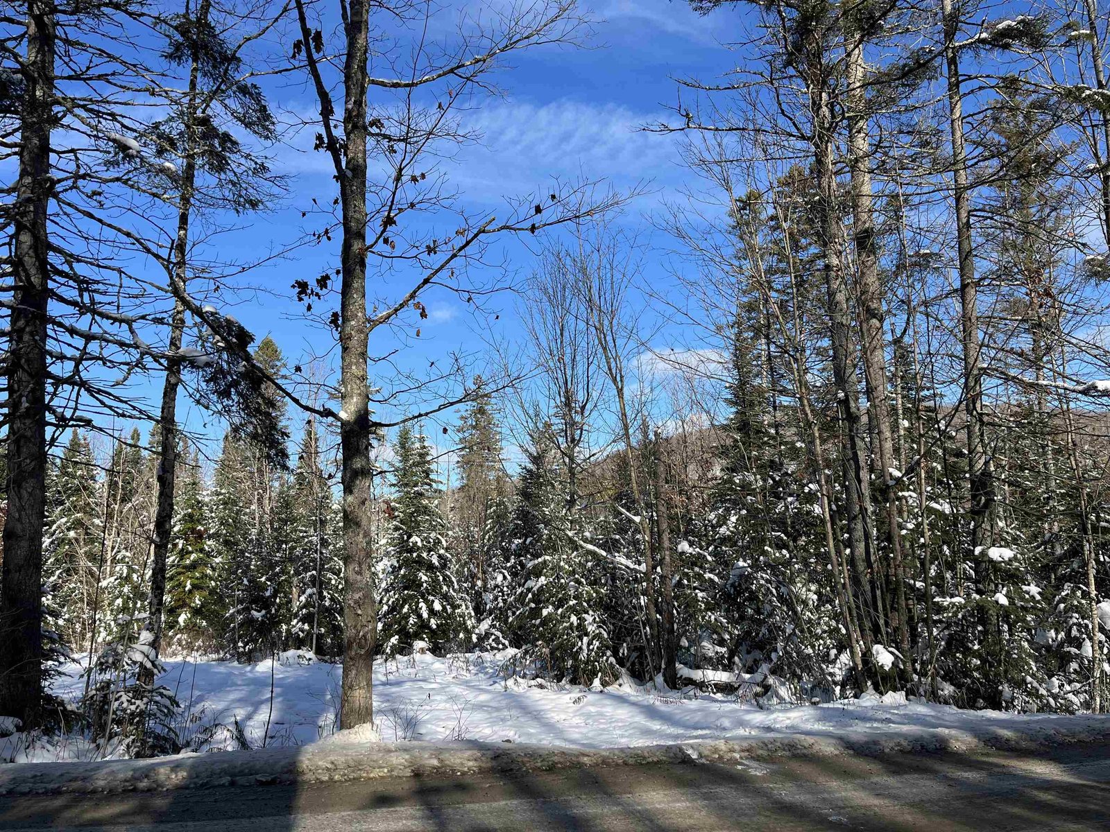 0 Shadow Lake Road