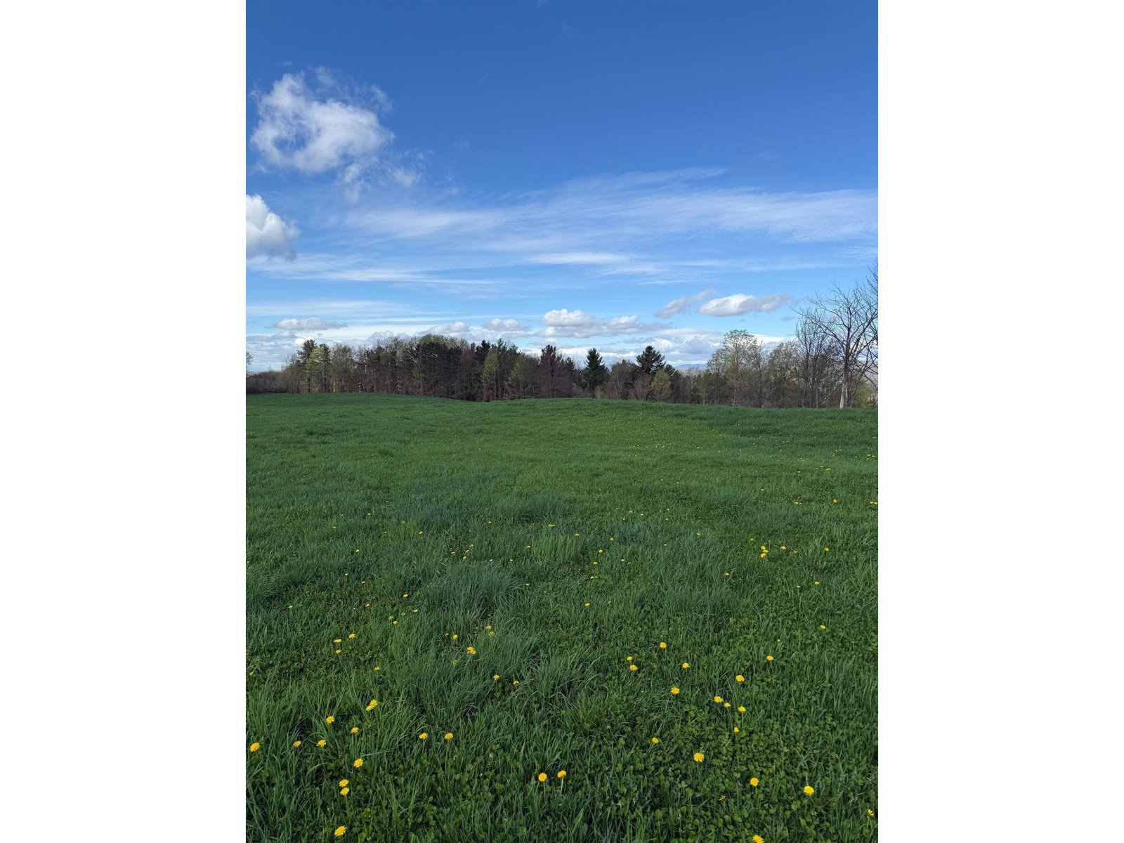 0 Shattuck Hill