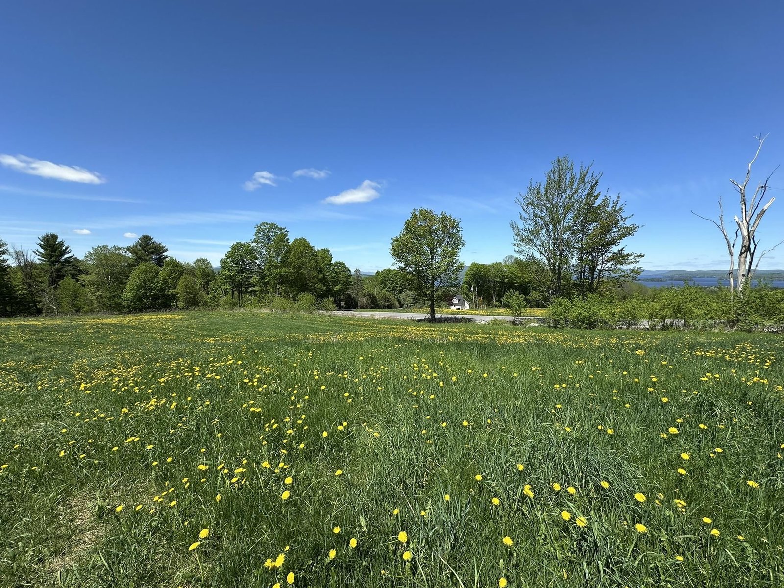 0 Shattuck Hill Road