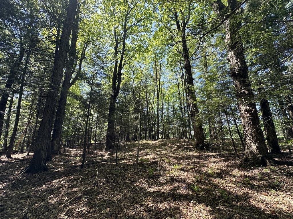 0 Shattuck Hill Road