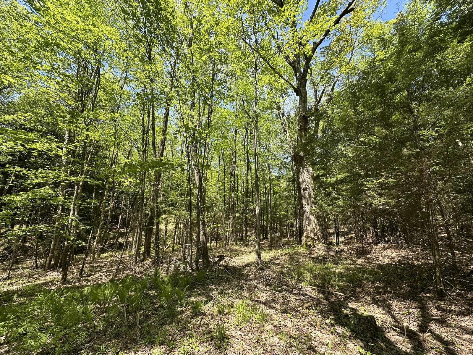 0 Shattuck Hill Road
