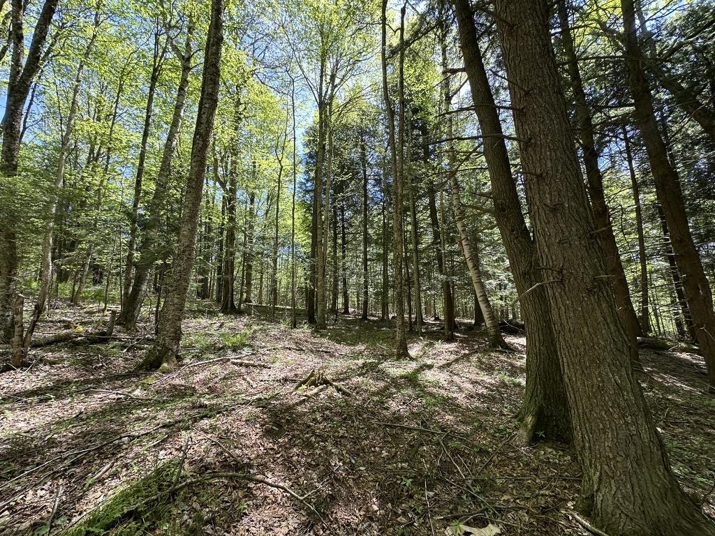 0 Shattuck Hill Road