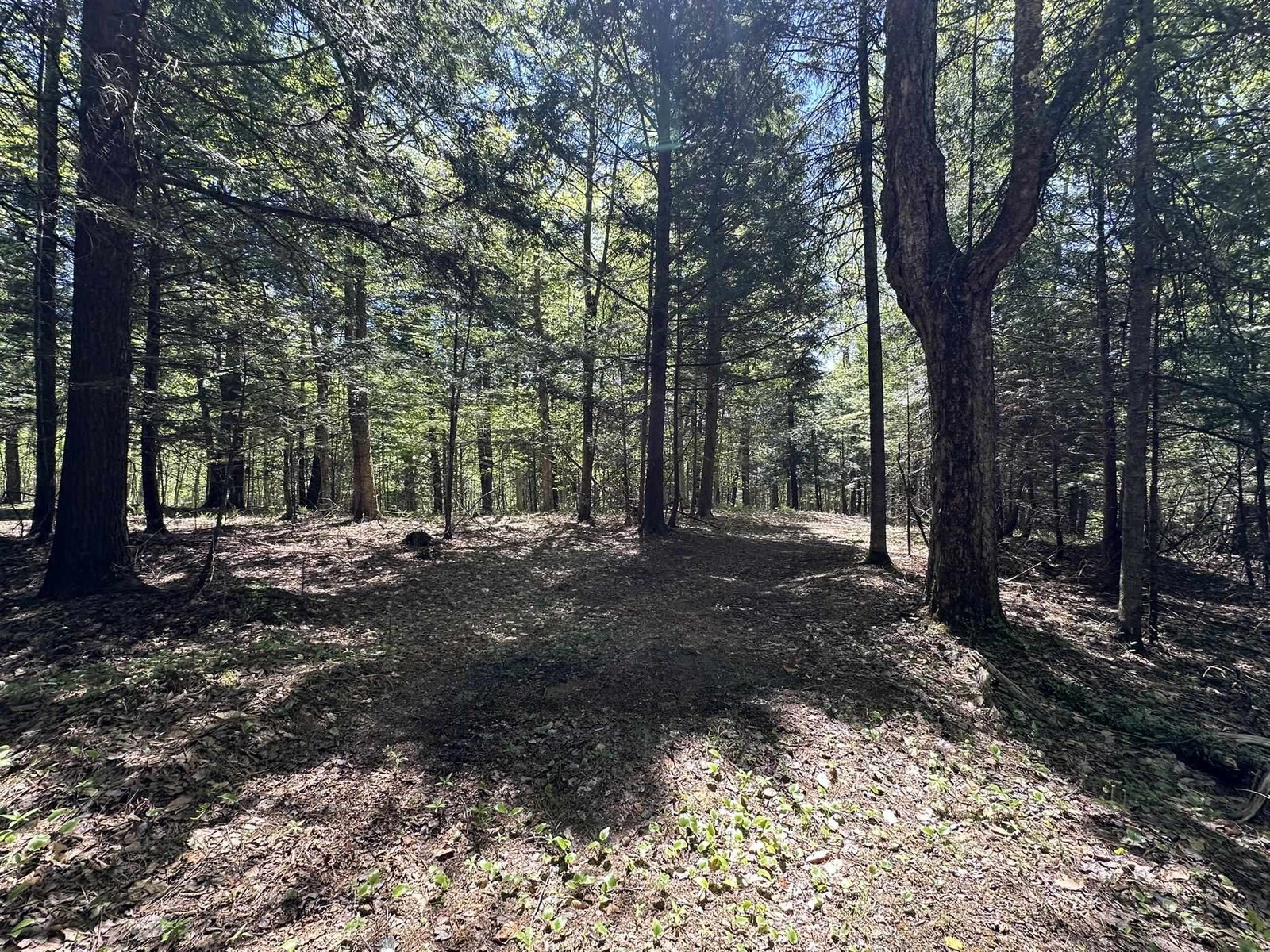0 Shattuck Hill Road