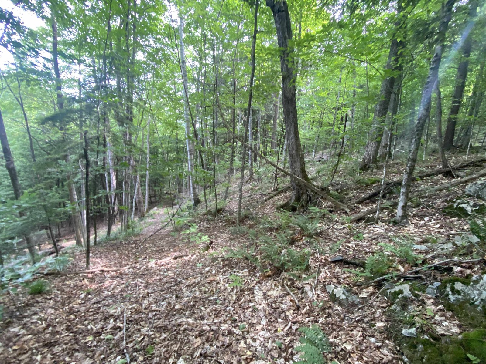 Internal Trail