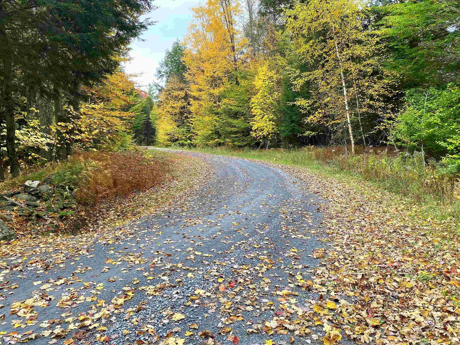 0 Snowshoe Trail
