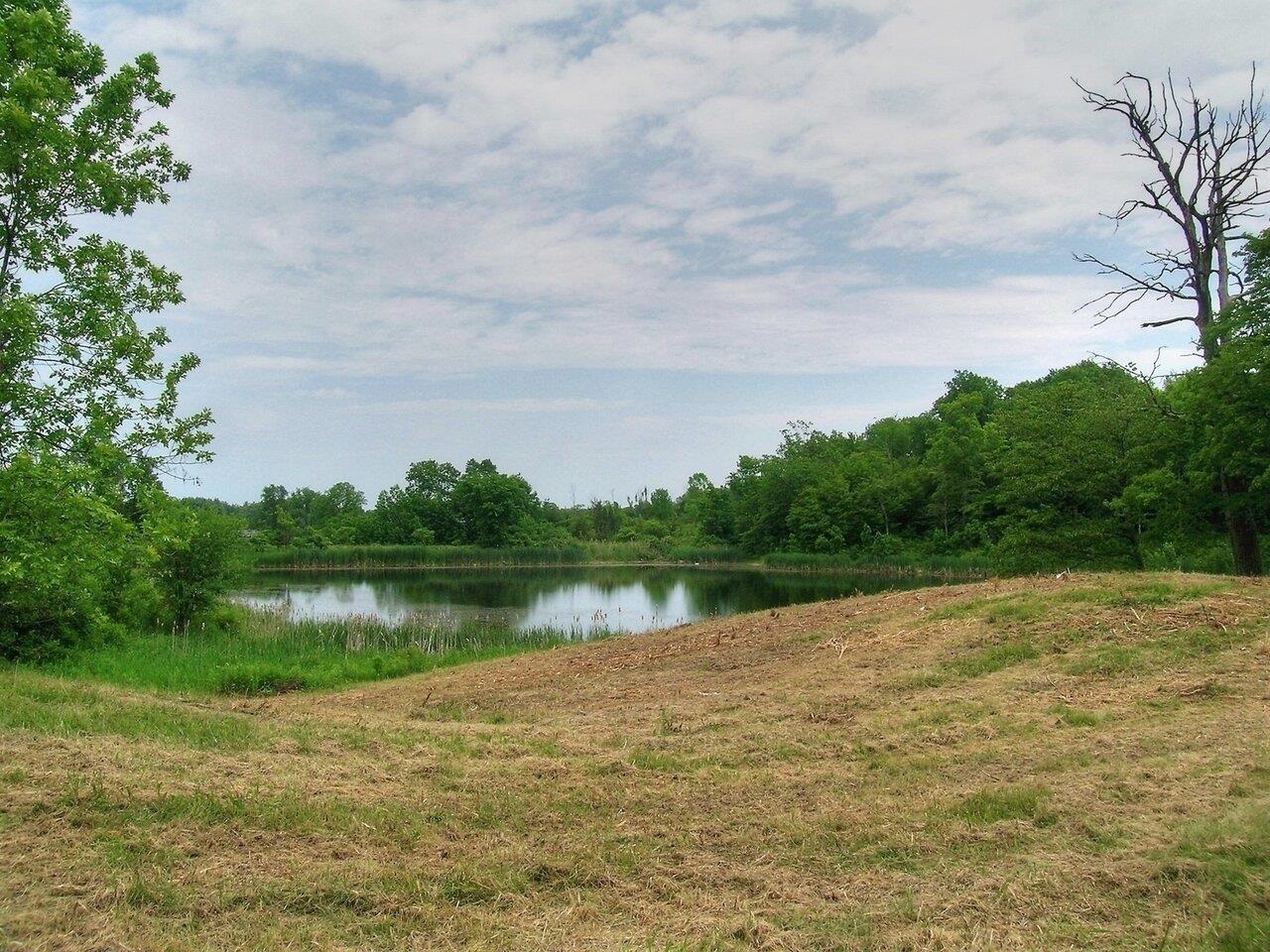 View of pond from site