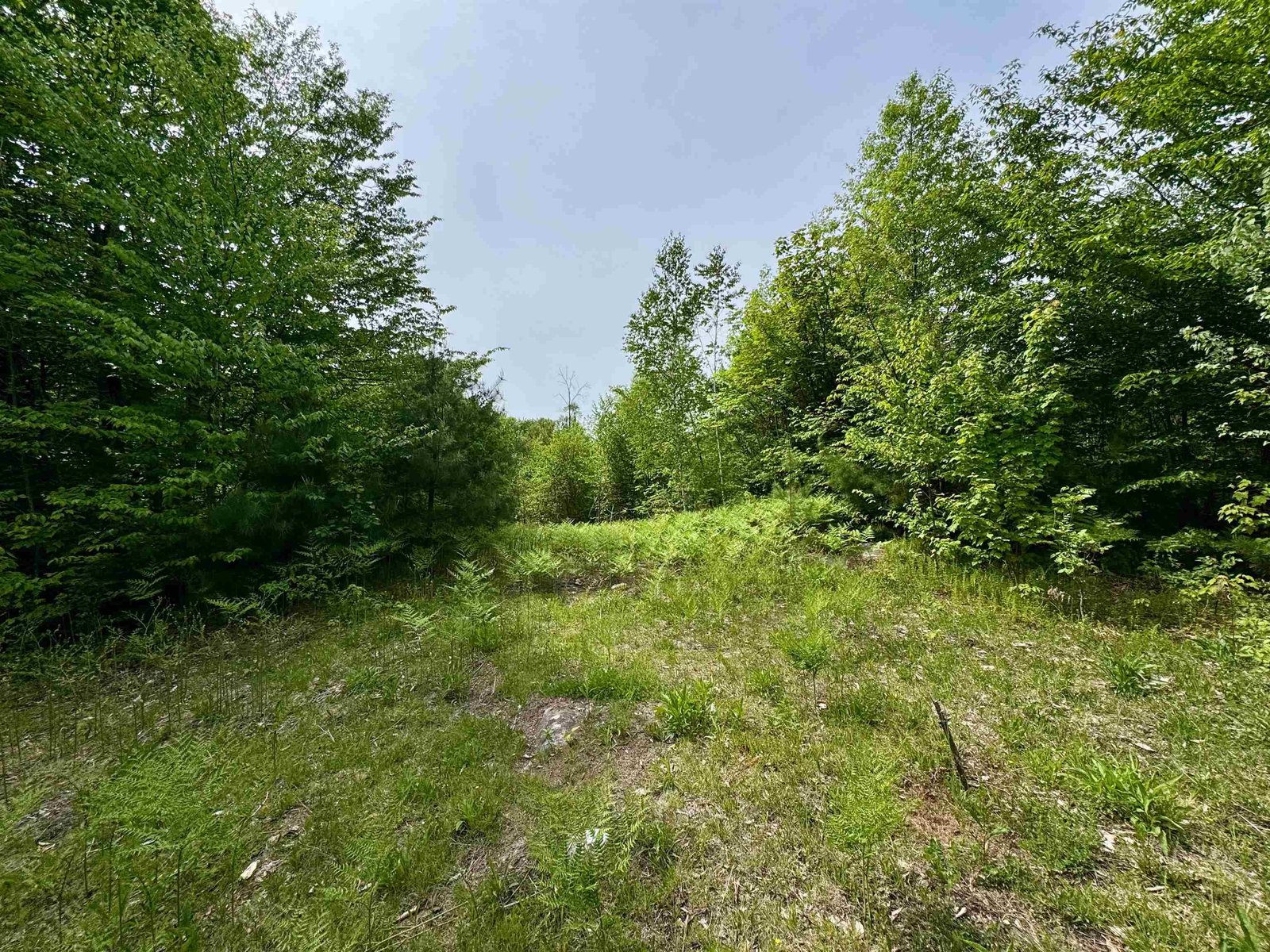 0 South County Road