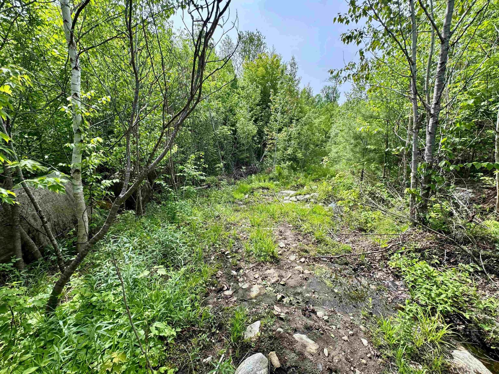 0 South County Road
