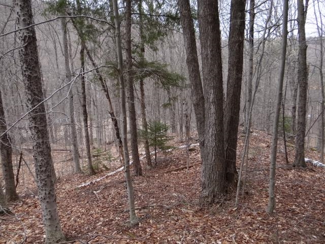 0 South Road