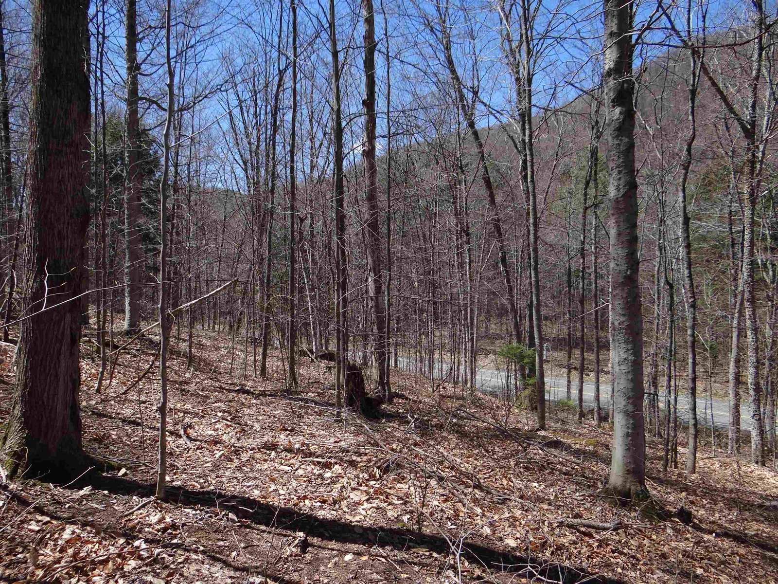 0 South Road