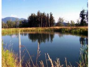 0 Stowe Highlands