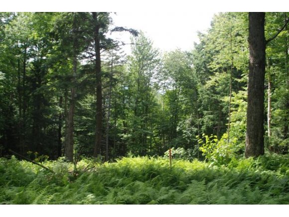 0 Stowe Hollow Road