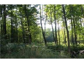 0 Sugarbush Access Road