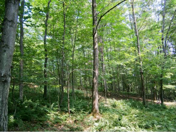 0 TAC Heights Lot 2