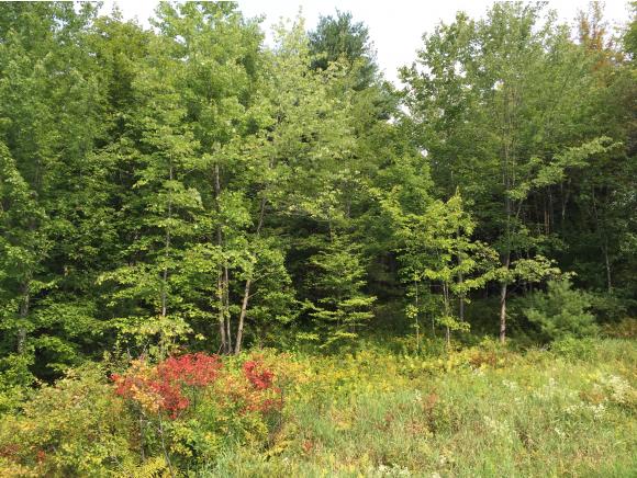 0 (TBD) Maple Hill