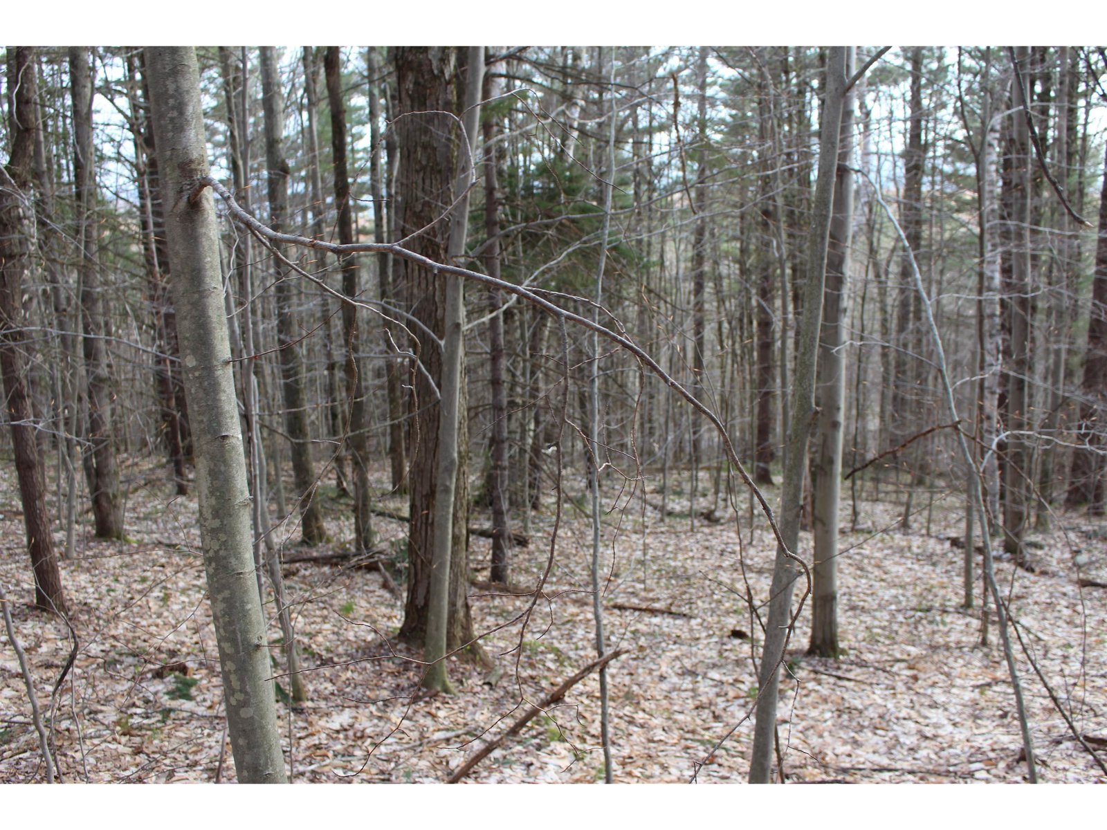 0 Upper Meehan Road