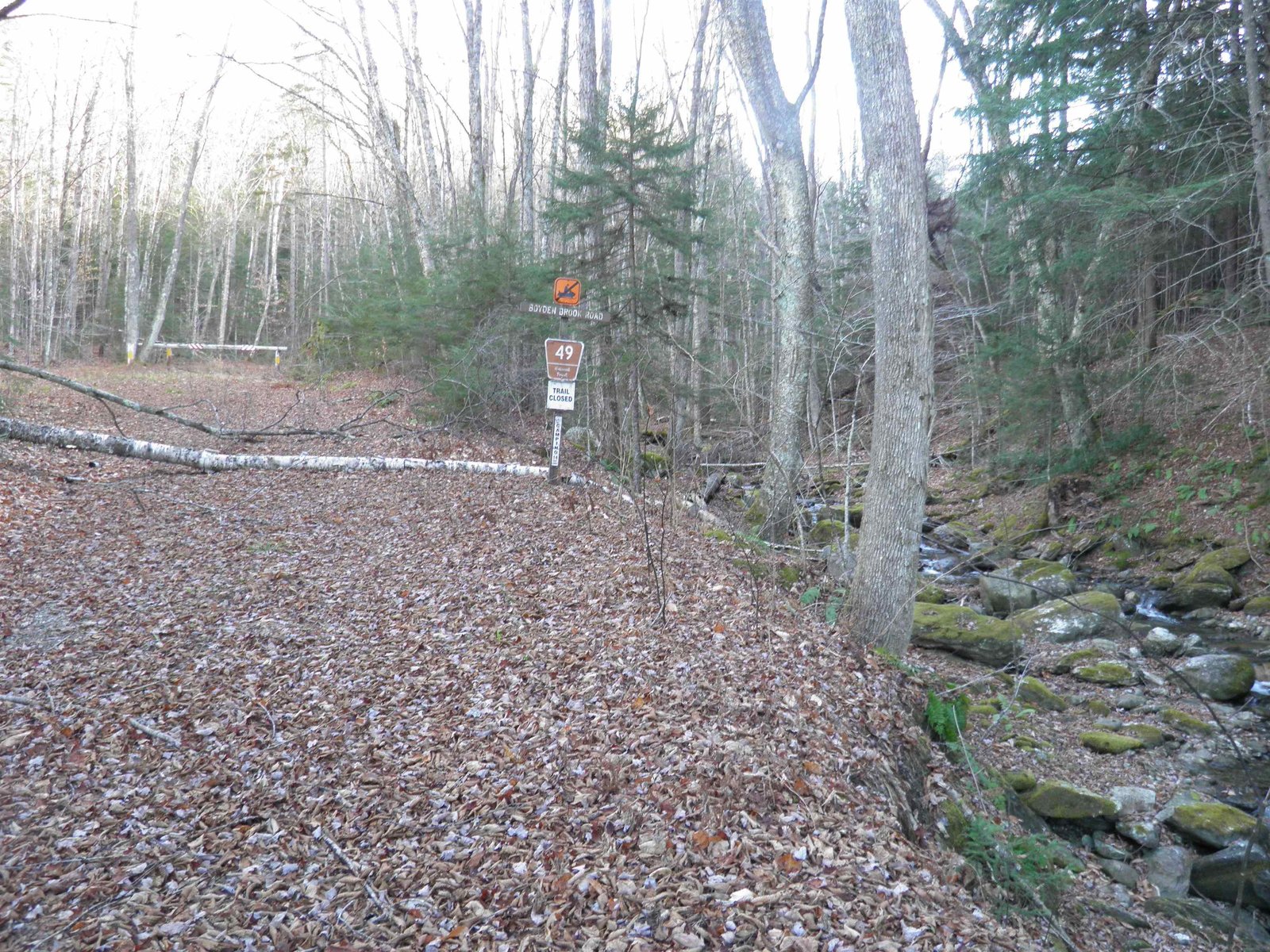0 USFS #49 Road