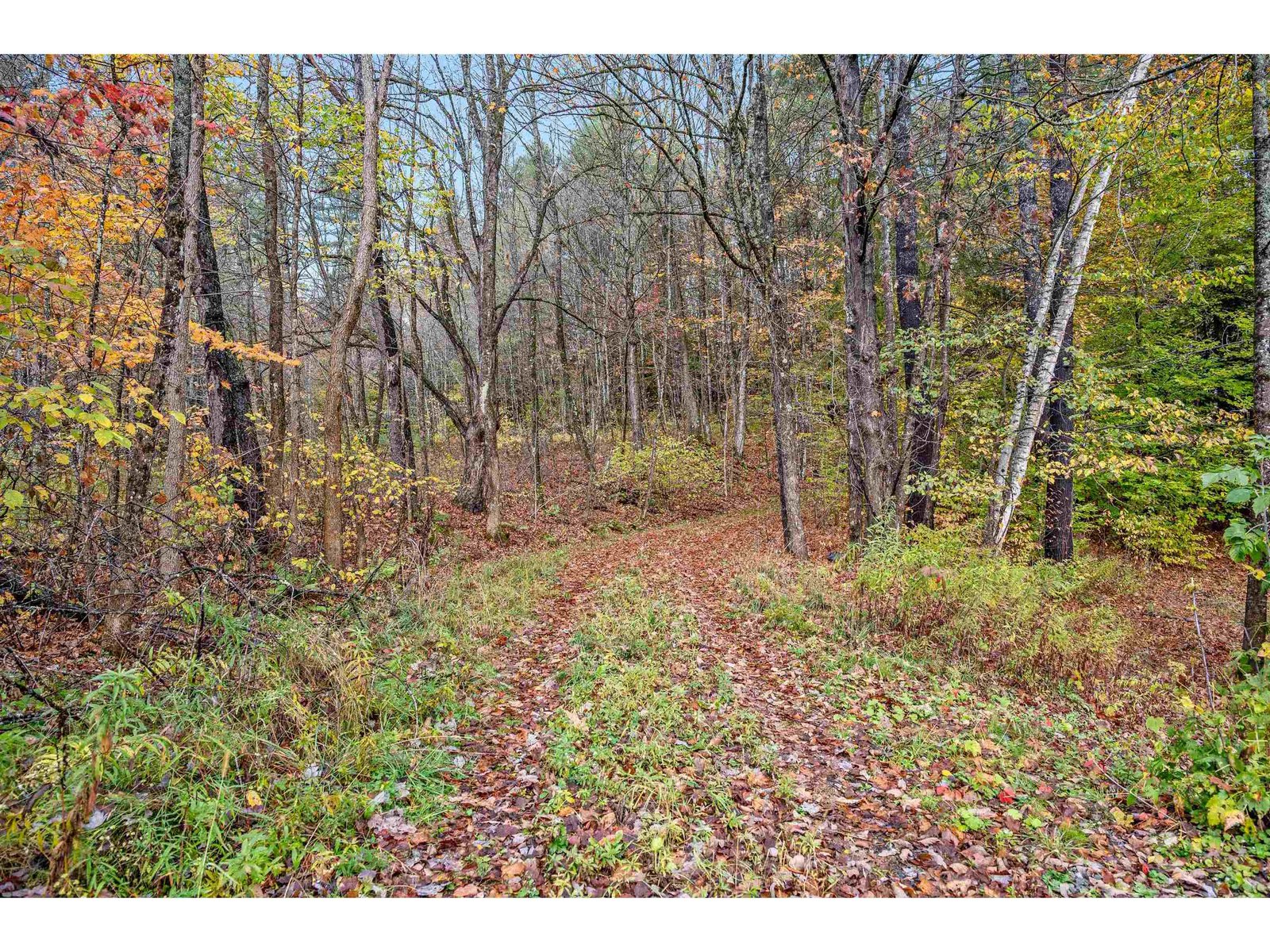 0 Veo Road