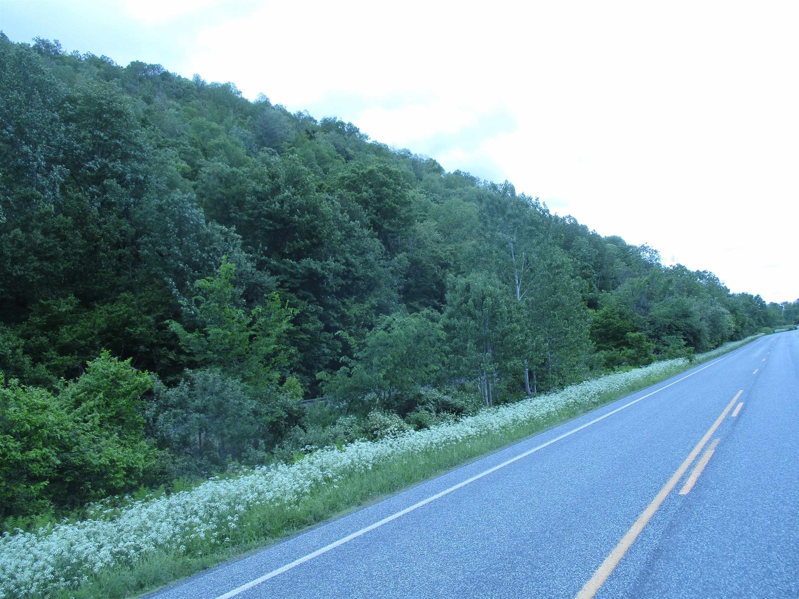 0 VT Route 12A