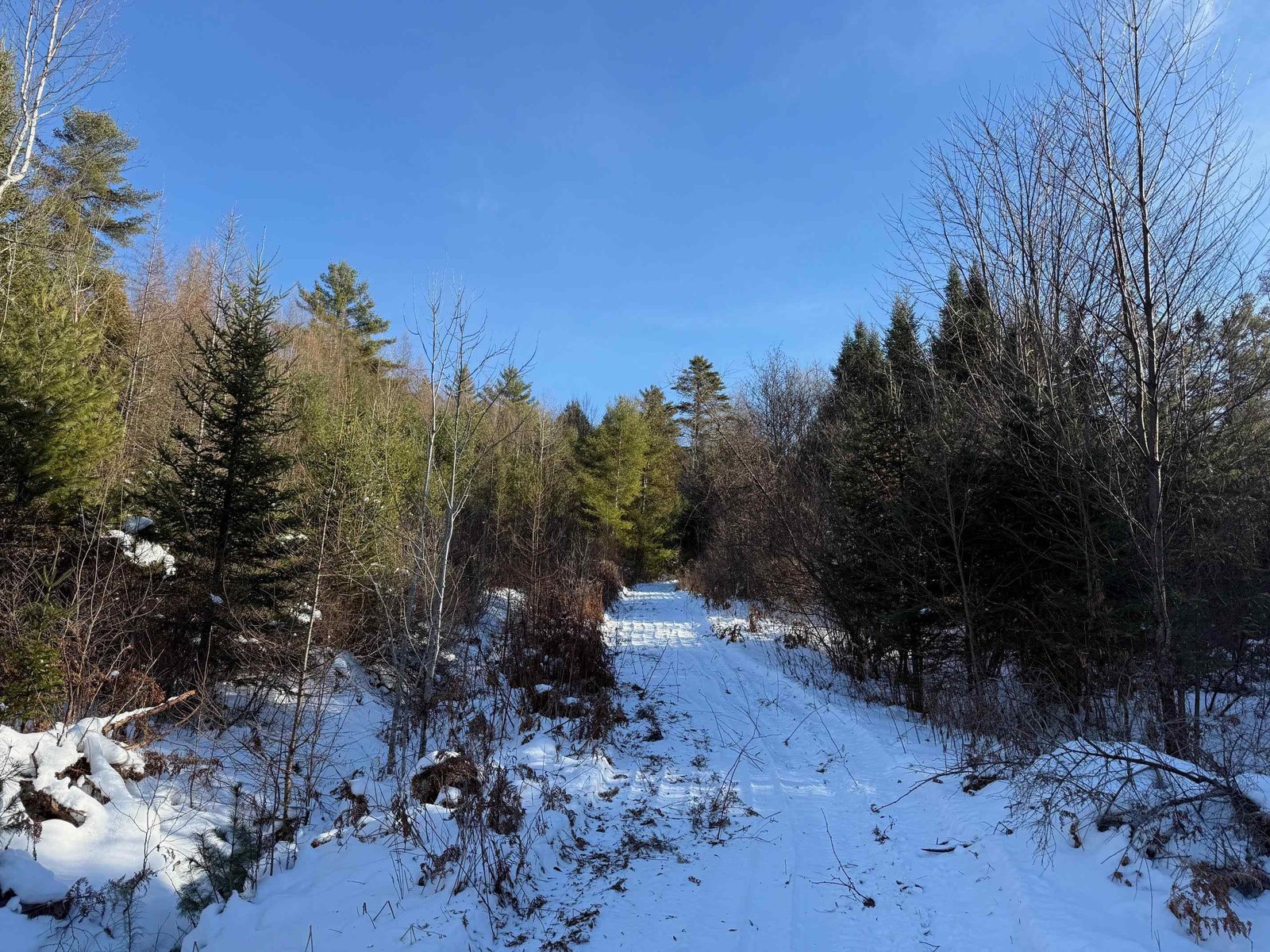 0 Waterford Hollow Lane