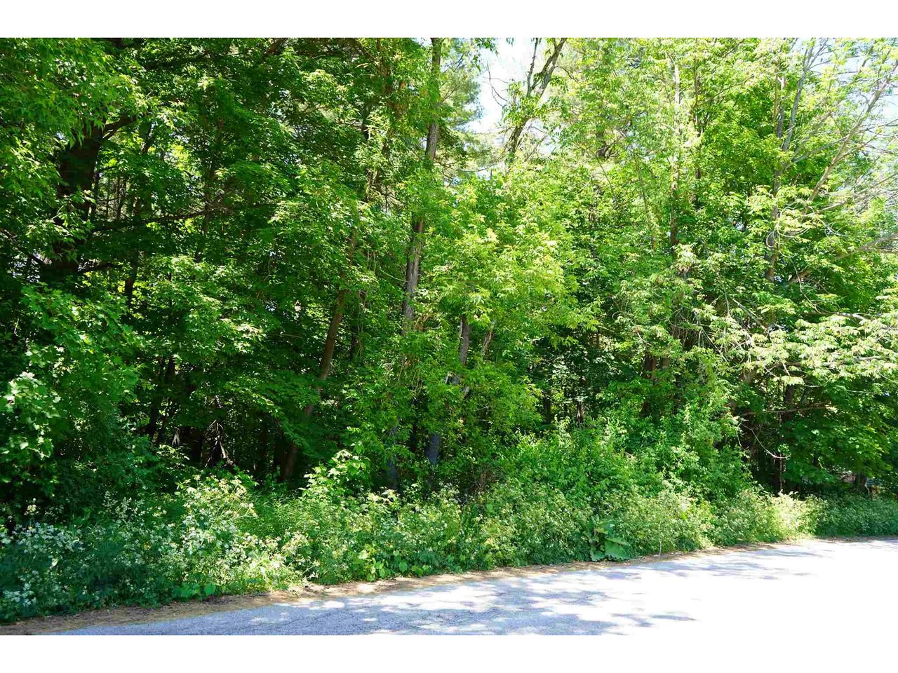 0 Woodland Drive