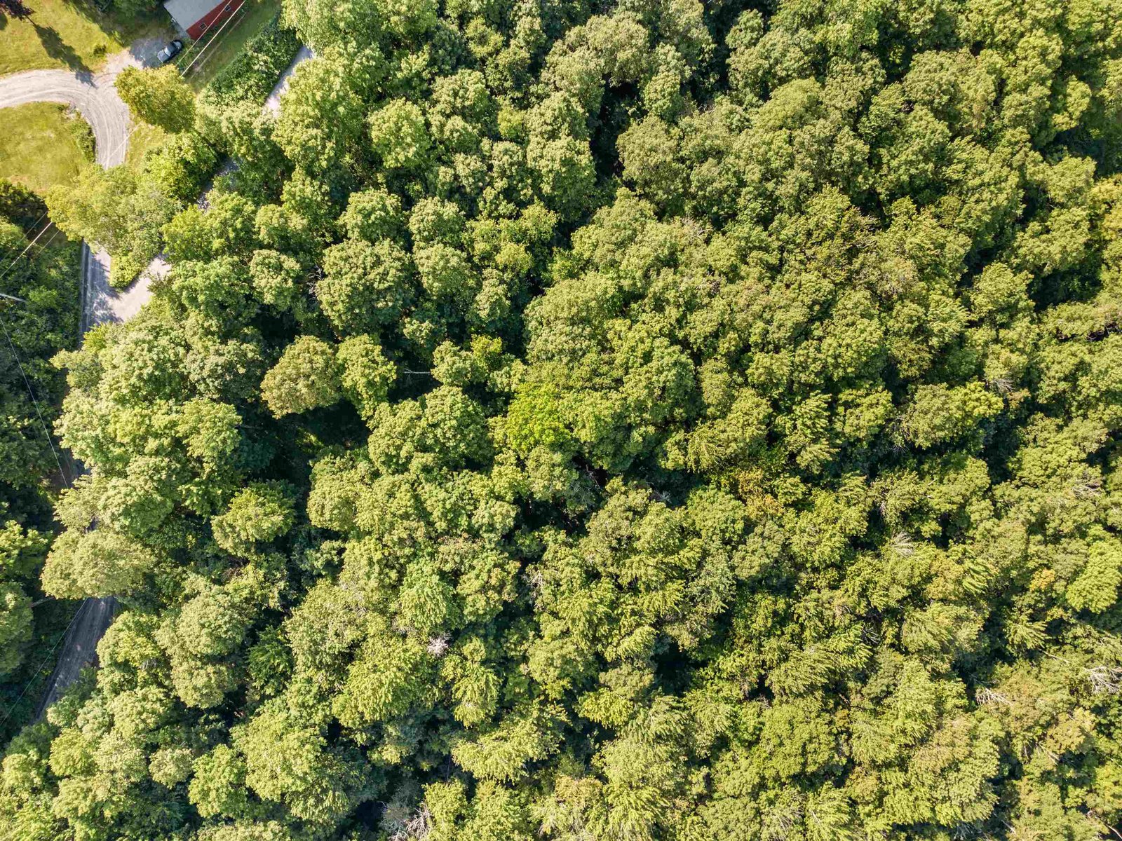 0 Woods Road