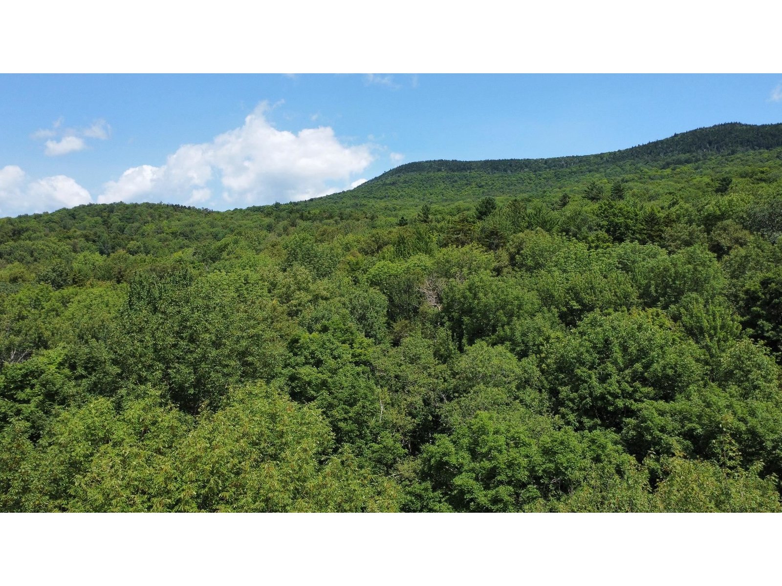 00-1 Prickly Mountain Road