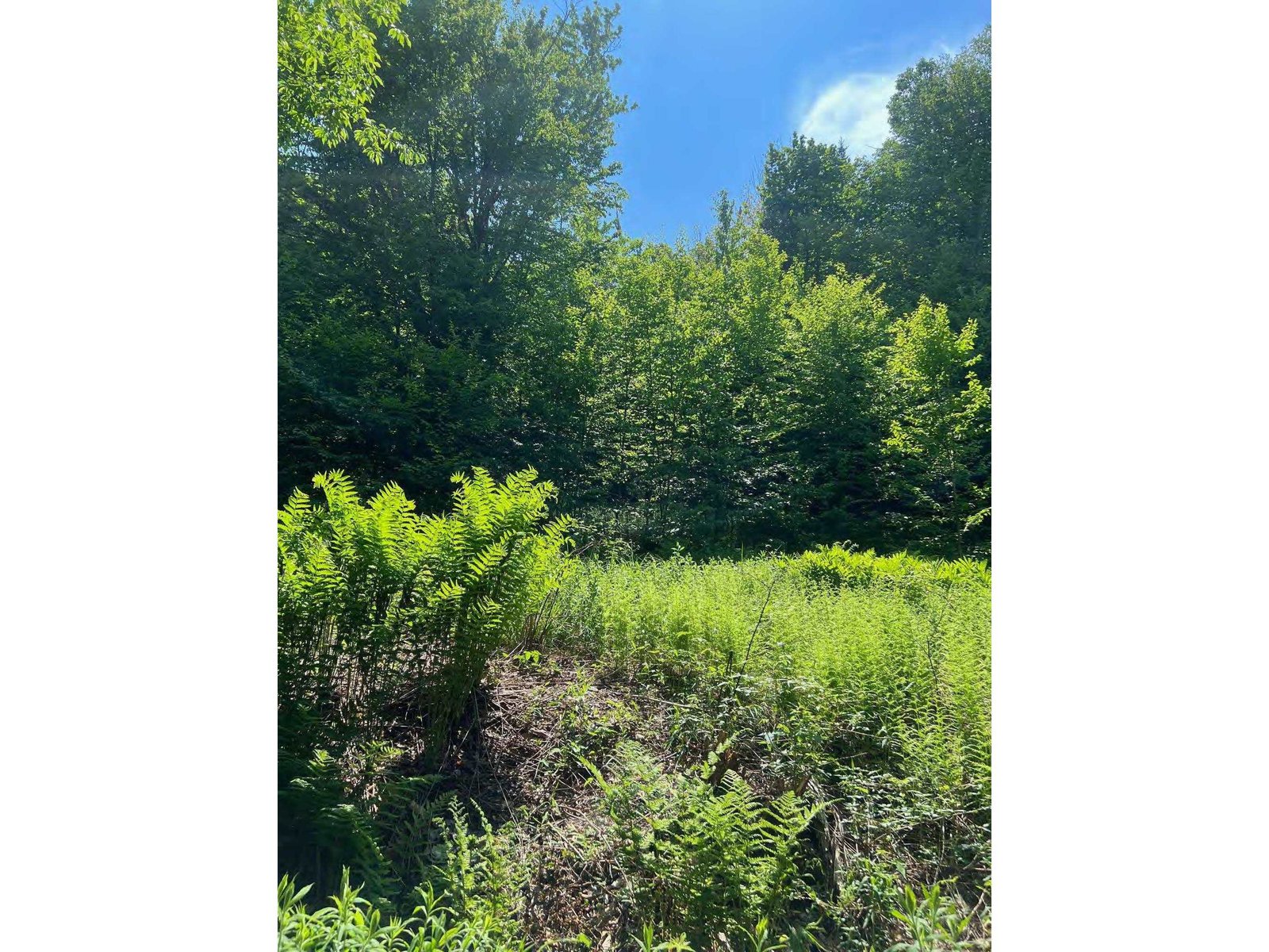 00 Albin Hill