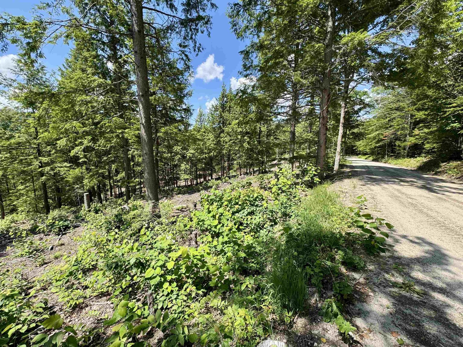 00 Annis Road