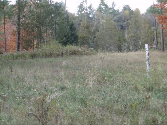 00 Applewood Village, lot 11