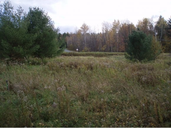 00 Applewood Village, lot 16