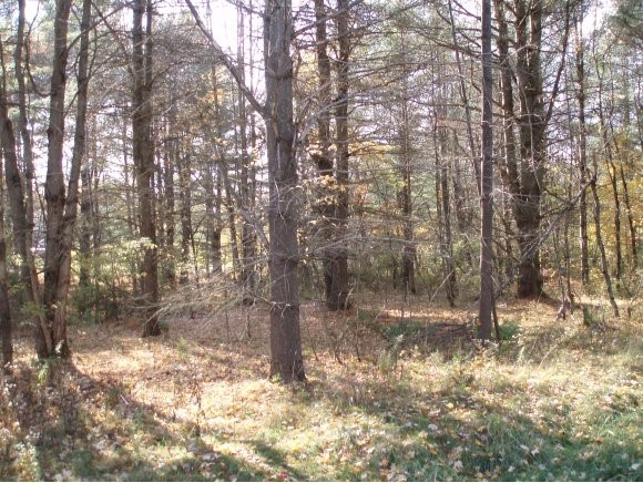 00 Applewood Village, lot 3
