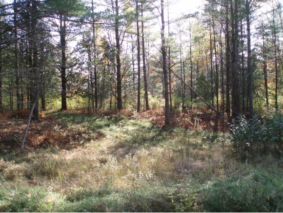 00 Applewood Village, lot 5