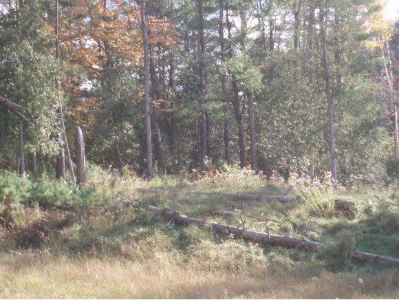 00 Applewood Village, lot 6