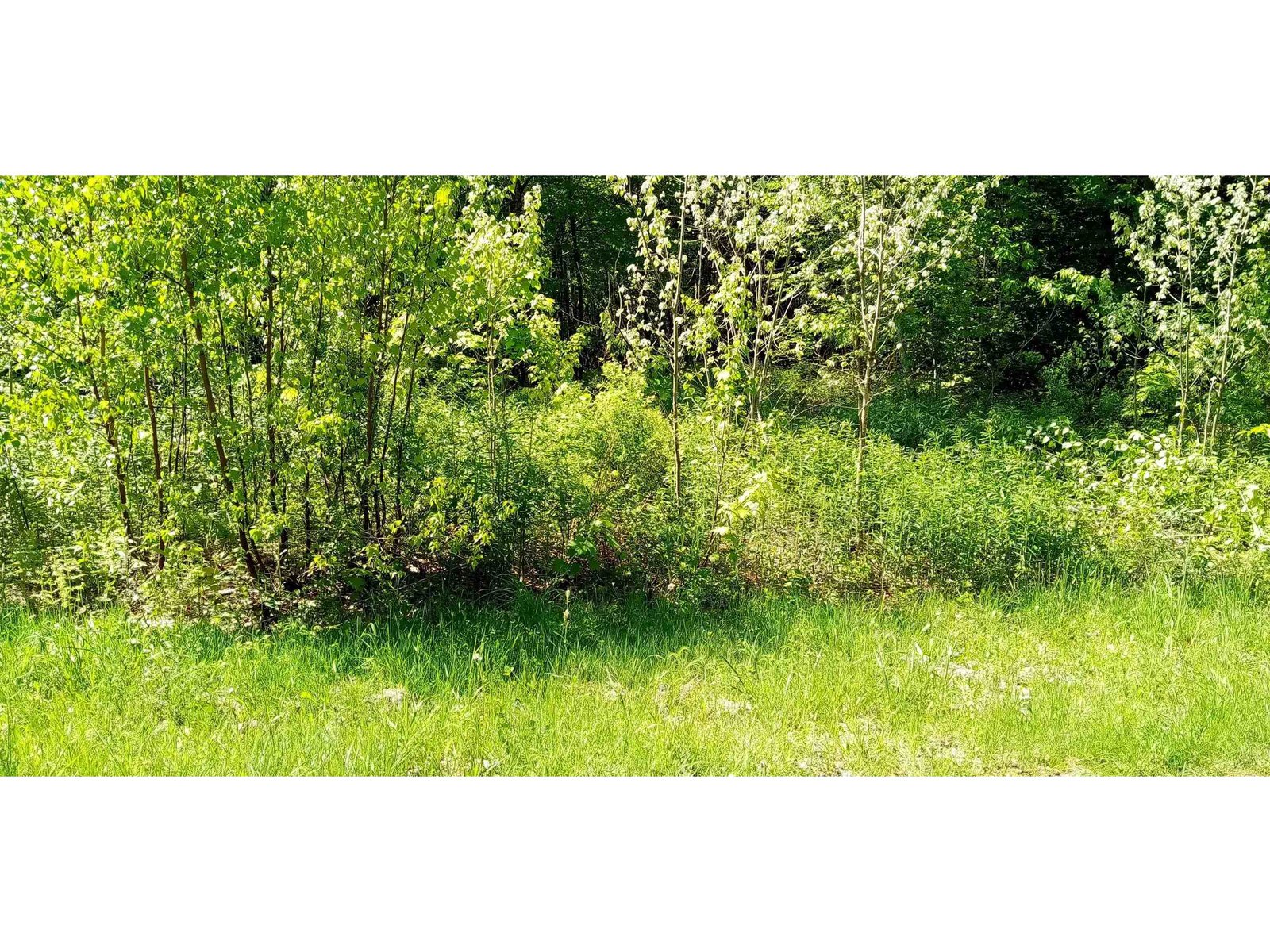 along road frontage