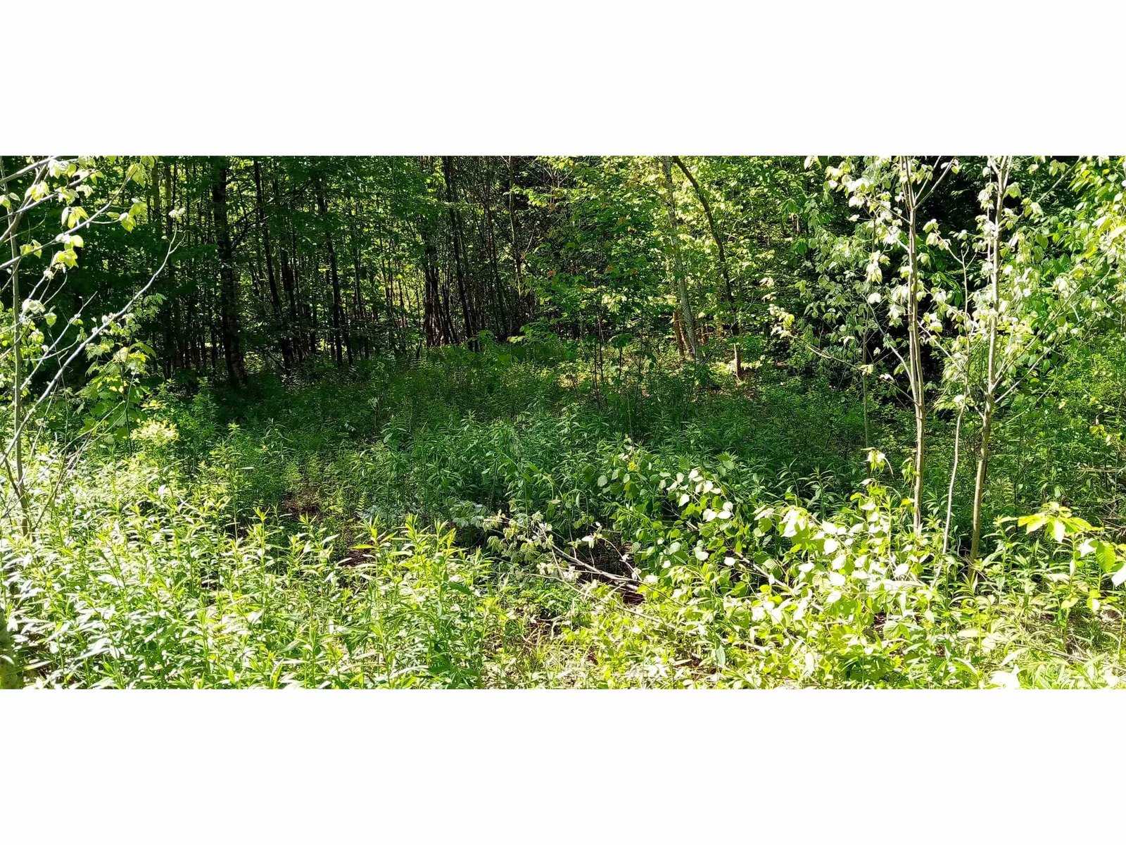 just inside the property